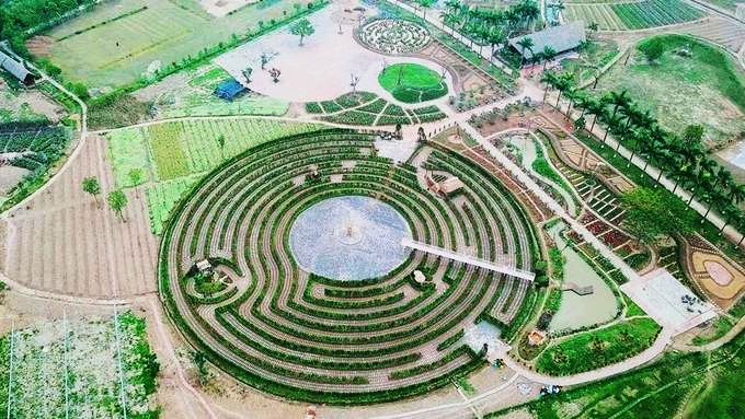 Mê cung bằng cây rộng 10.000 m2 ở ngoại thành Hà Nội